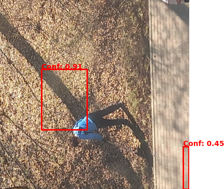 Analysis of image 141